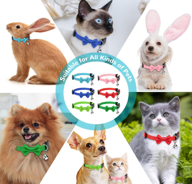 Collare con Papillon e campanellina