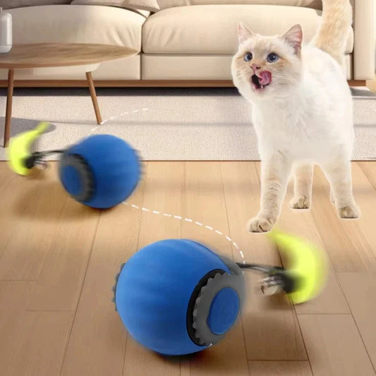 Interactive electric ball with teasing tail 