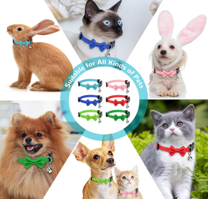 Collare con Papillon e campanellina