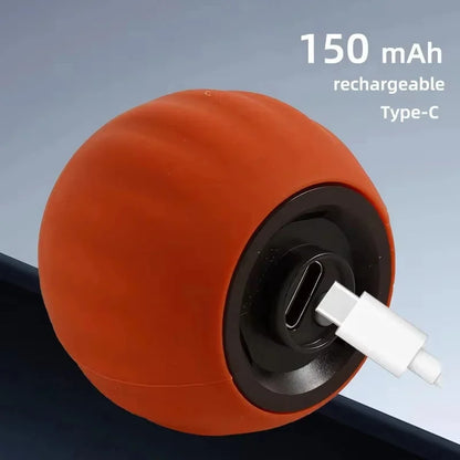 Interactive electric ball with teasing tail 